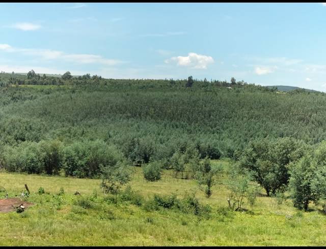 FARM SOLD IN NEWCASTLE RURAL
